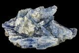 Vibrant Blue Kyanite Crystals In Quartz - Brazil #113474-1